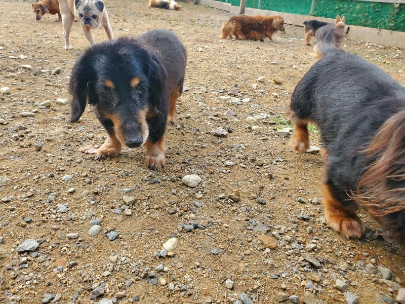 f:id:roukenhome-ann:20191011180744j:plain