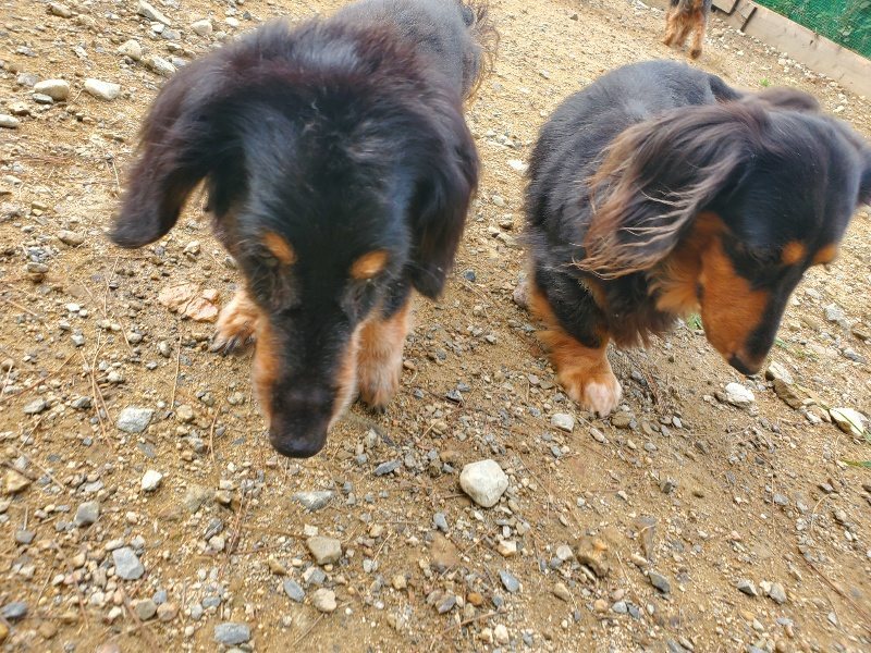 f:id:roukenhome-ann:20191011180754j:plain
