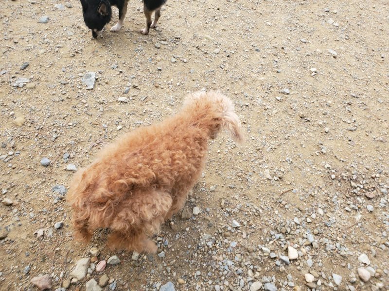 f:id:roukenhome-ann:20191011181107j:plain
