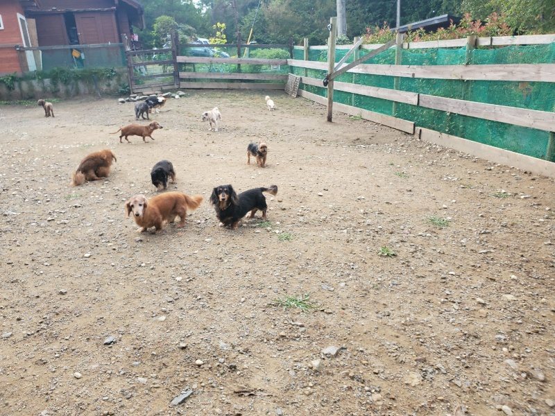 f:id:roukenhome-ann:20191011181135j:plain