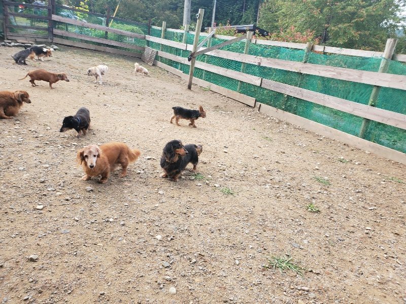 f:id:roukenhome-ann:20191011181145j:plain