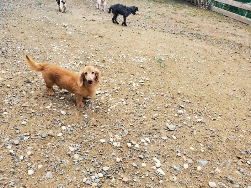 f:id:roukenhome-ann:20191011181943j:plain