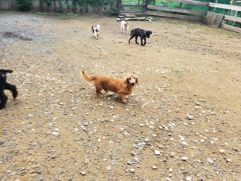 f:id:roukenhome-ann:20191011182028j:plain