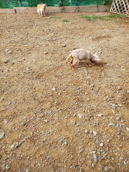 f:id:roukenhome-ann:20191011182044j:plain