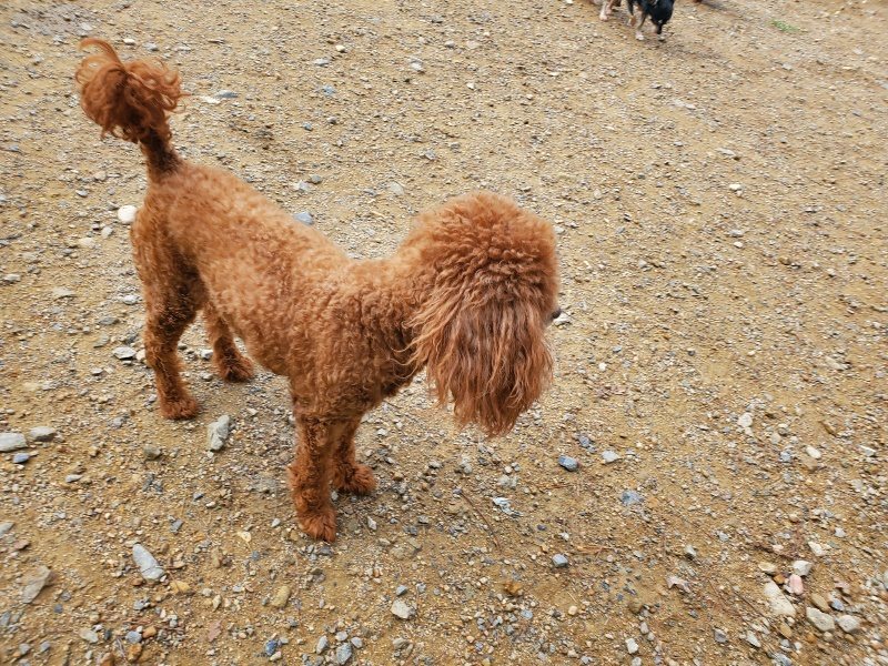 f:id:roukenhome-ann:20191011182138j:plain