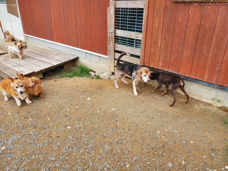 f:id:roukenhome-ann:20191011182234j:plain