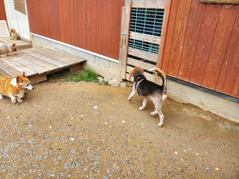 f:id:roukenhome-ann:20191011182301j:plain
