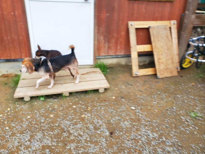 f:id:roukenhome-ann:20191011182306j:plain