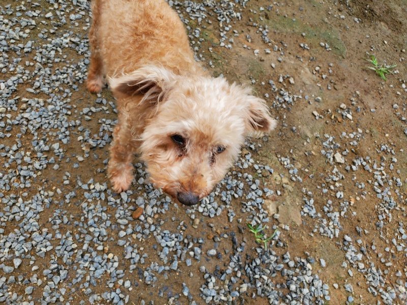 f:id:roukenhome-ann:20191011182323j:plain