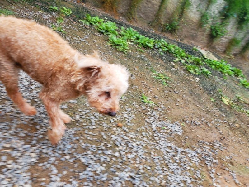 f:id:roukenhome-ann:20191011182350j:plain
