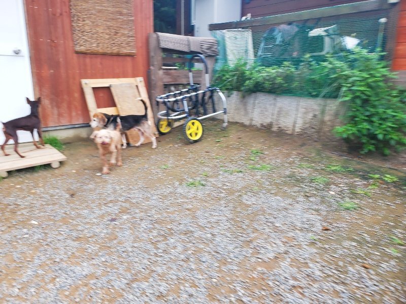 f:id:roukenhome-ann:20191011182405j:plain