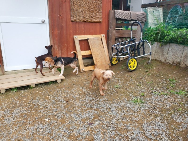 f:id:roukenhome-ann:20191011182412j:plain