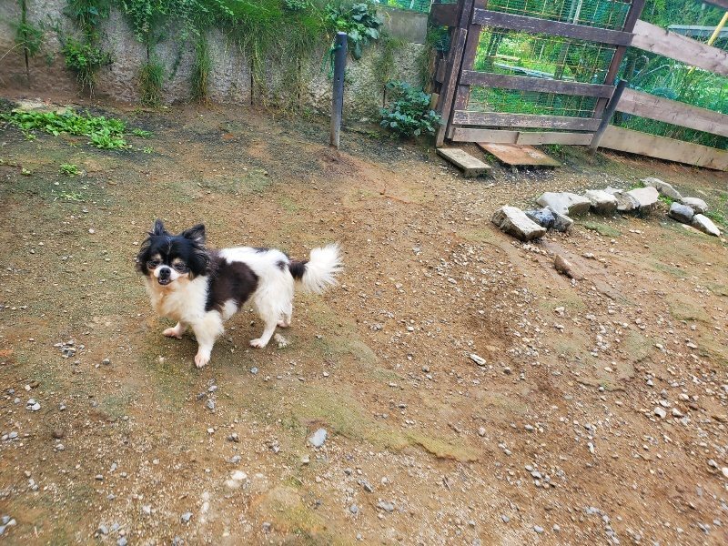 f:id:roukenhome-ann:20191011182425j:plain