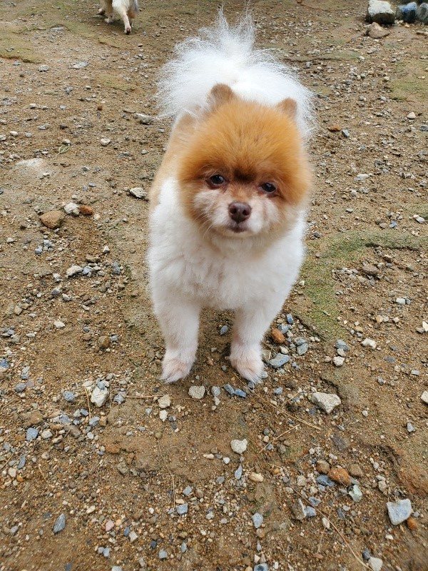f:id:roukenhome-ann:20191011182442j:plain