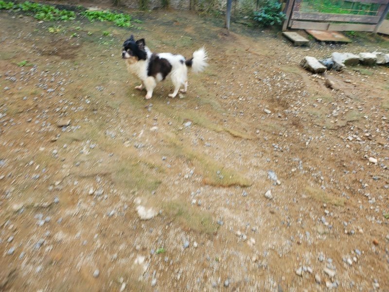 f:id:roukenhome-ann:20191011182510j:plain