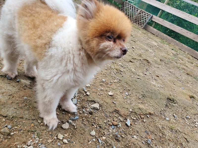 f:id:roukenhome-ann:20191011182518j:plain
