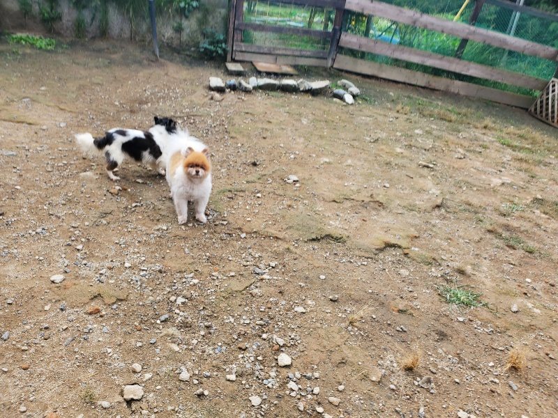 f:id:roukenhome-ann:20191011182532j:plain