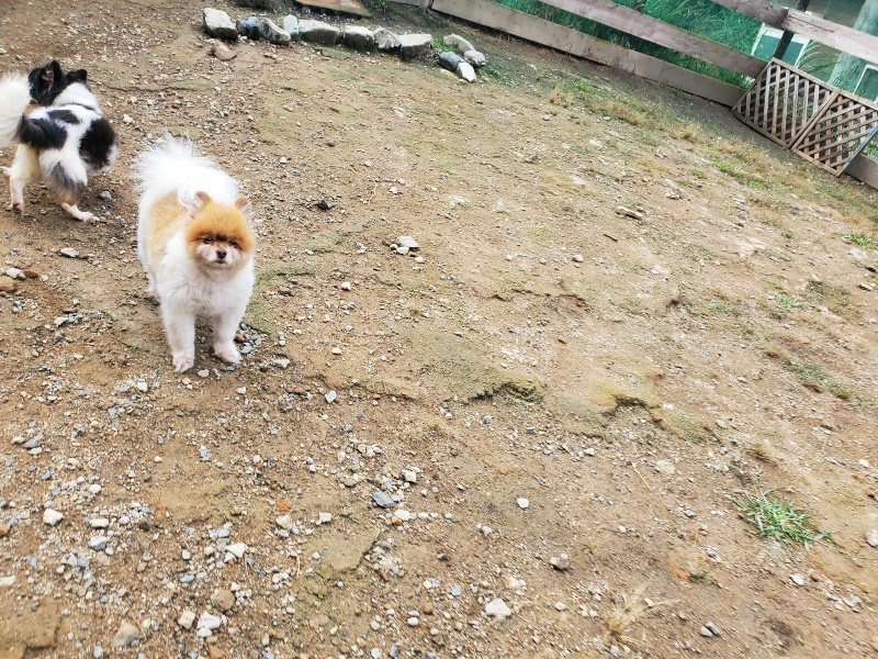 f:id:roukenhome-ann:20191011182539j:plain