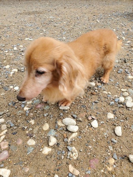 f:id:roukenhome-ann:20191011182547j:plain