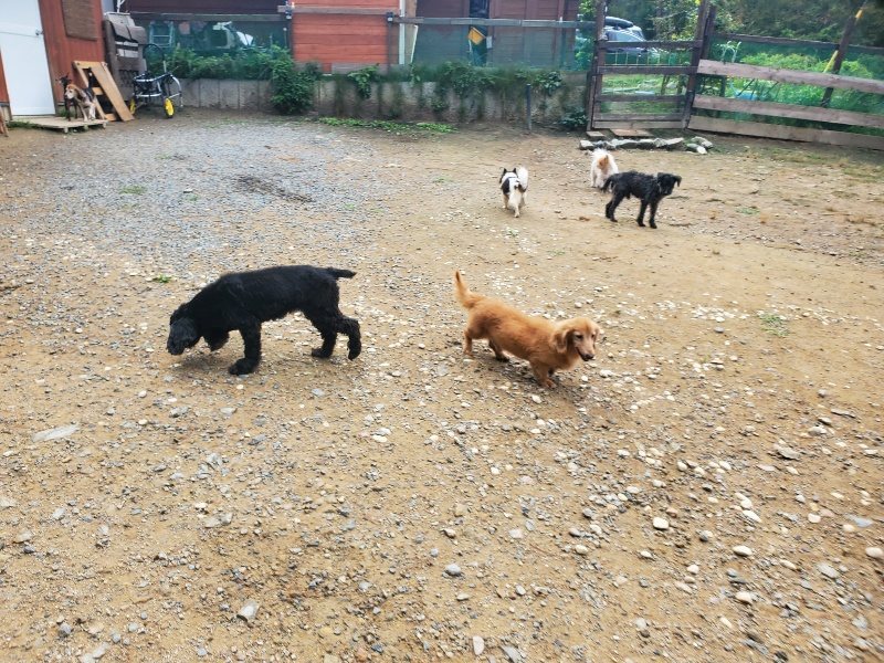 f:id:roukenhome-ann:20191011183010j:plain