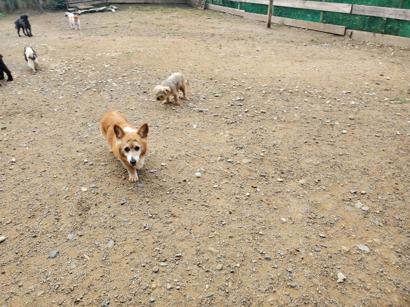 f:id:roukenhome-ann:20191011183017j:plain