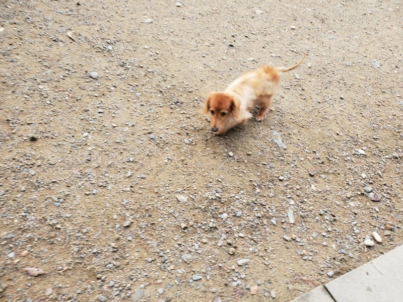 f:id:roukenhome-ann:20191011183024j:plain