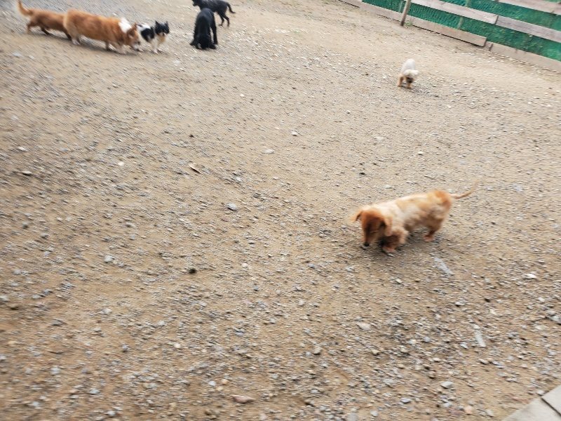 f:id:roukenhome-ann:20191011183042j:plain