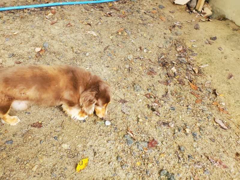 f:id:roukenhome-ann:20191011183124j:plain