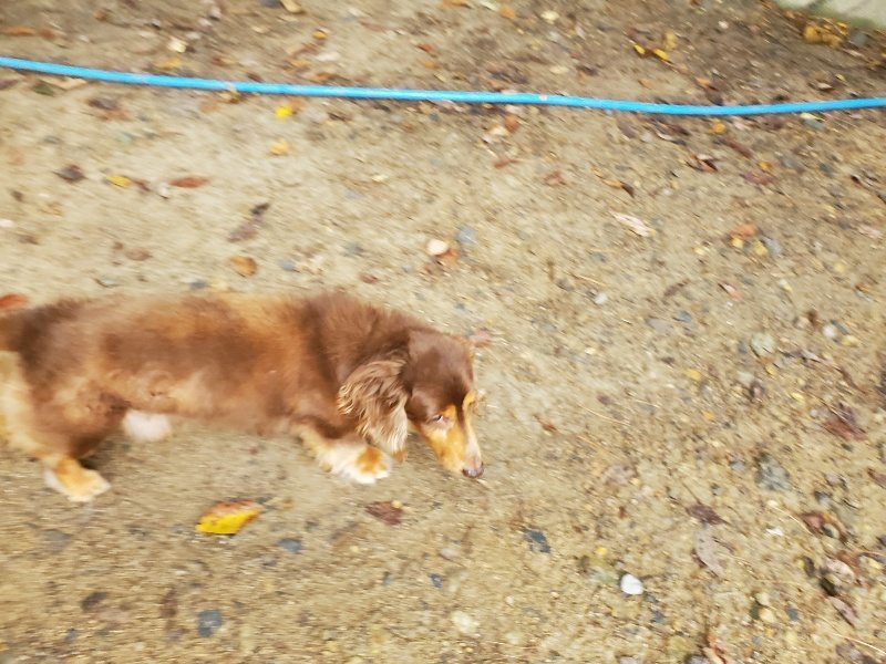 f:id:roukenhome-ann:20191011183132j:plain