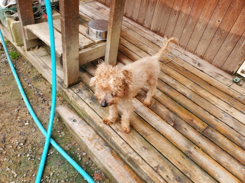 f:id:roukenhome-ann:20191011183150j:plain