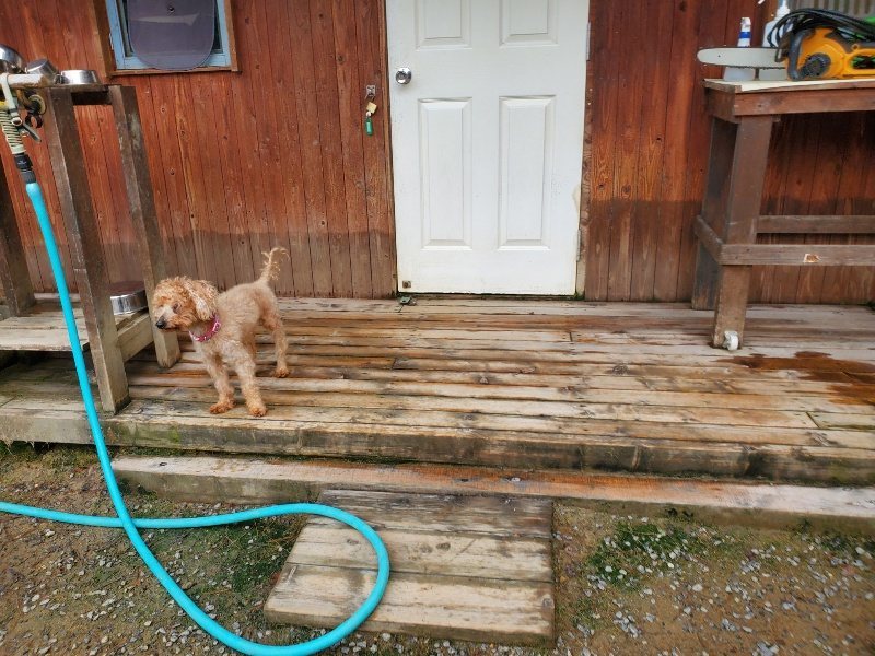 f:id:roukenhome-ann:20191011183229j:plain