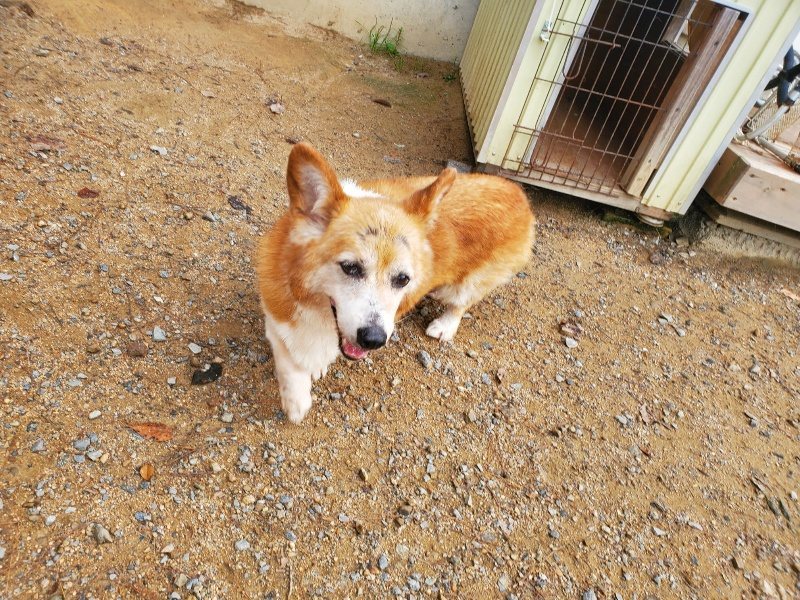 f:id:roukenhome-ann:20191011183248j:plain