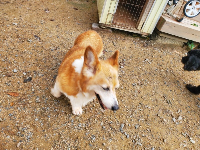 f:id:roukenhome-ann:20191011183302j:plain