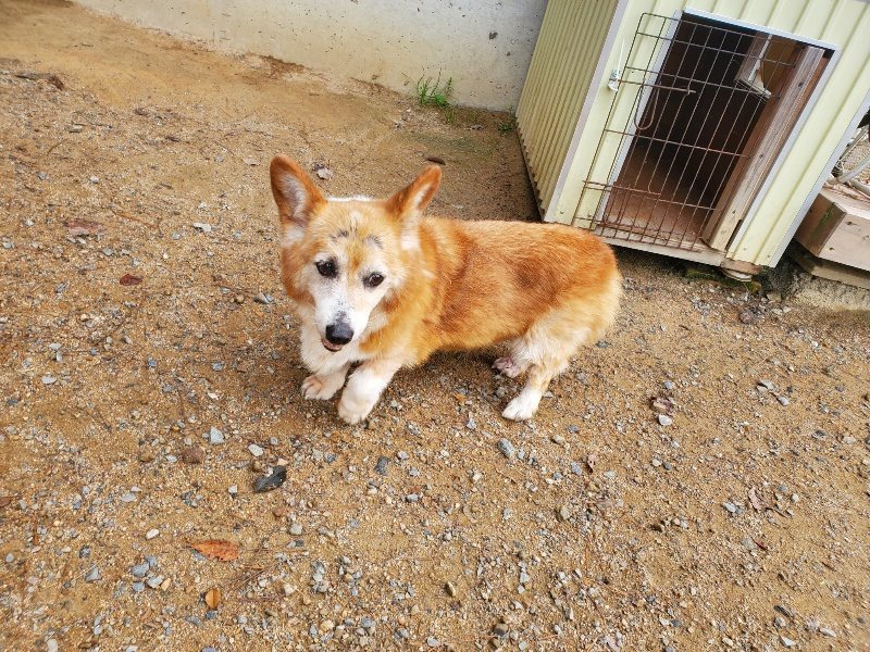 f:id:roukenhome-ann:20191011183315j:plain