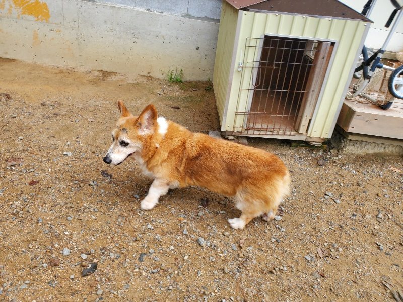 f:id:roukenhome-ann:20191011183330j:plain