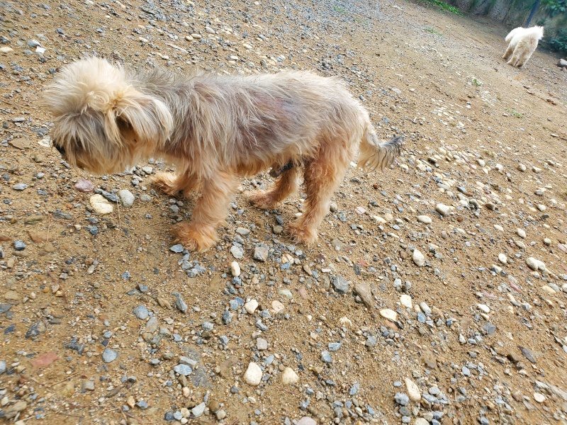 f:id:roukenhome-ann:20191011183436j:plain