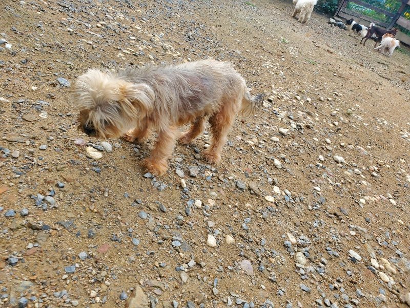f:id:roukenhome-ann:20191011183456j:plain