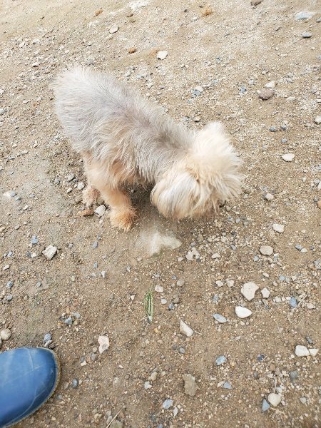 f:id:roukenhome-ann:20191011183634j:plain