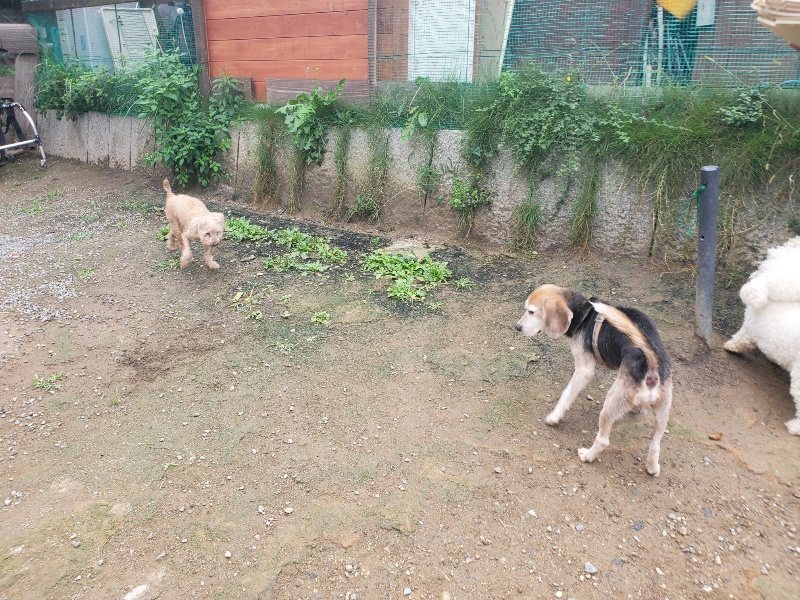 f:id:roukenhome-ann:20191011183714j:plain