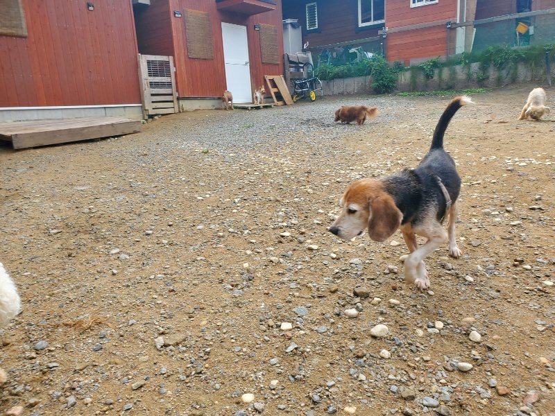 f:id:roukenhome-ann:20191011183836j:plain