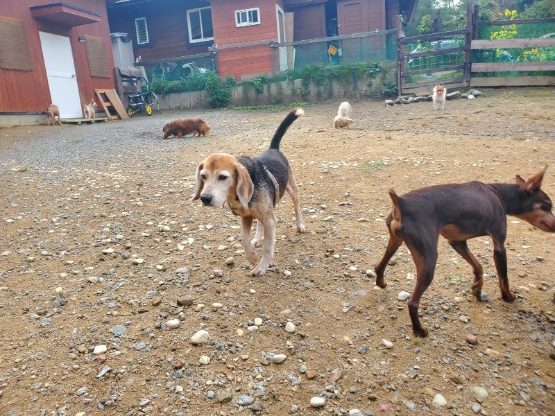 f:id:roukenhome-ann:20191011183844j:plain