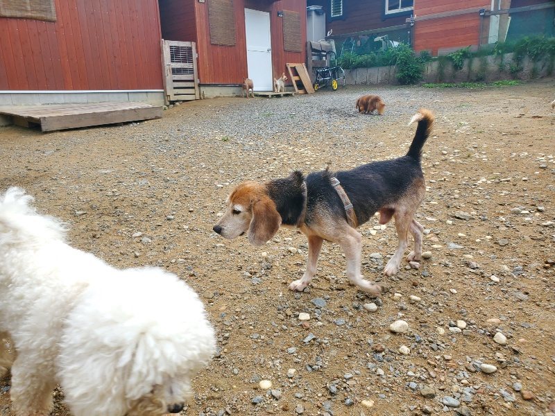 f:id:roukenhome-ann:20191011183854j:plain