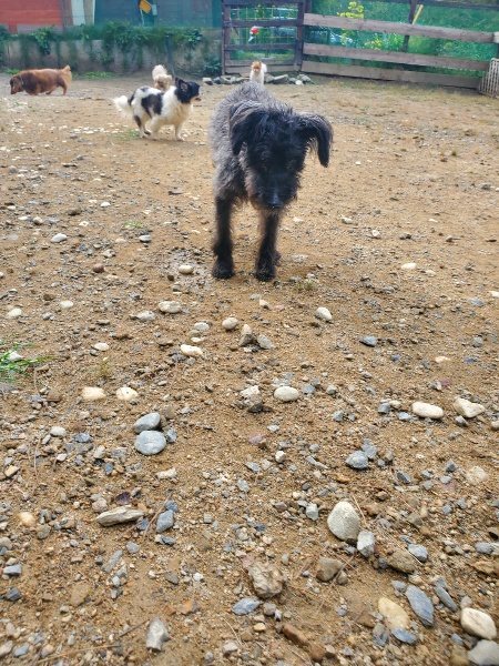 f:id:roukenhome-ann:20191011183915j:plain