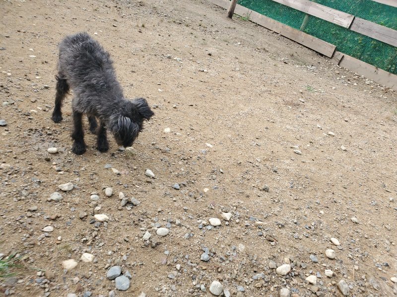 f:id:roukenhome-ann:20191011183945j:plain