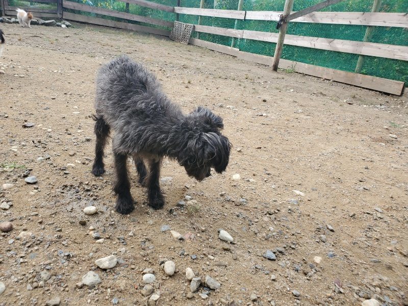 f:id:roukenhome-ann:20191011183955j:plain