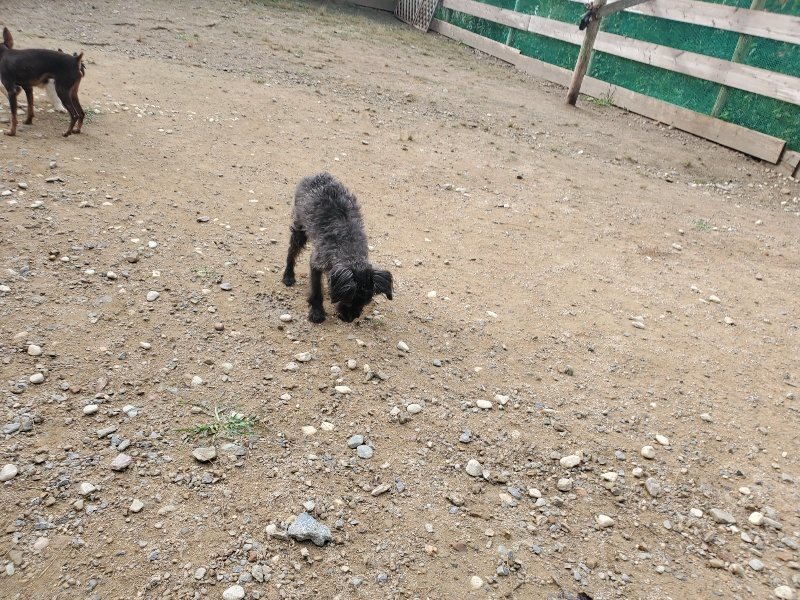 f:id:roukenhome-ann:20191011184002j:plain