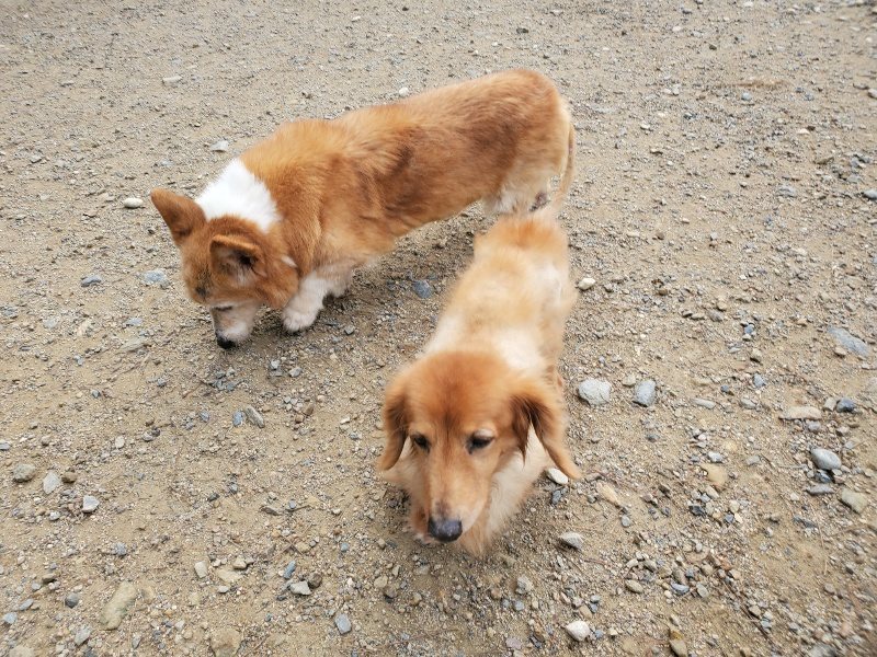 f:id:roukenhome-ann:20191011184033j:plain