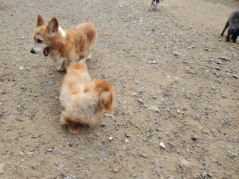 f:id:roukenhome-ann:20191011184042j:plain