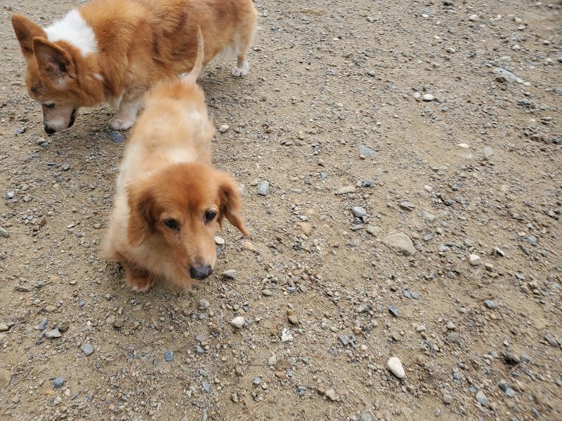 f:id:roukenhome-ann:20191011184053j:plain