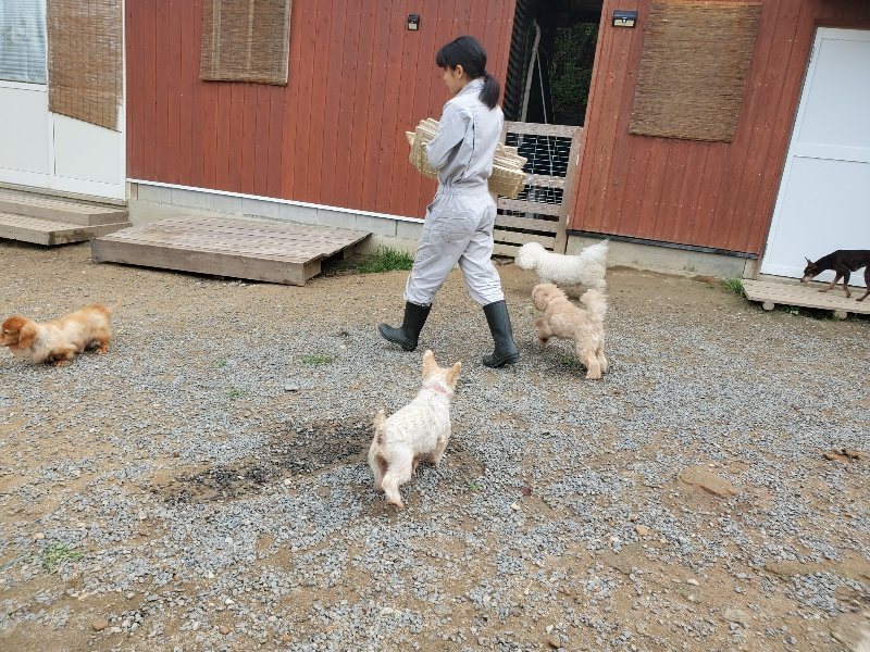 f:id:roukenhome-ann:20191011184121j:plain
